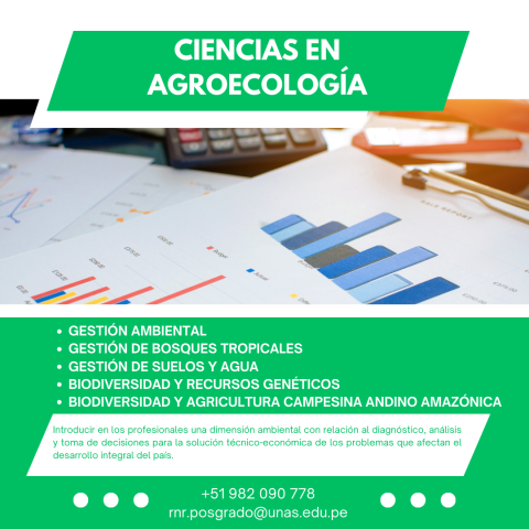 Si no carga la imagen, recargue la página.