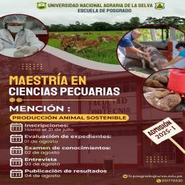 Si no carga la imagen, recargue la página.